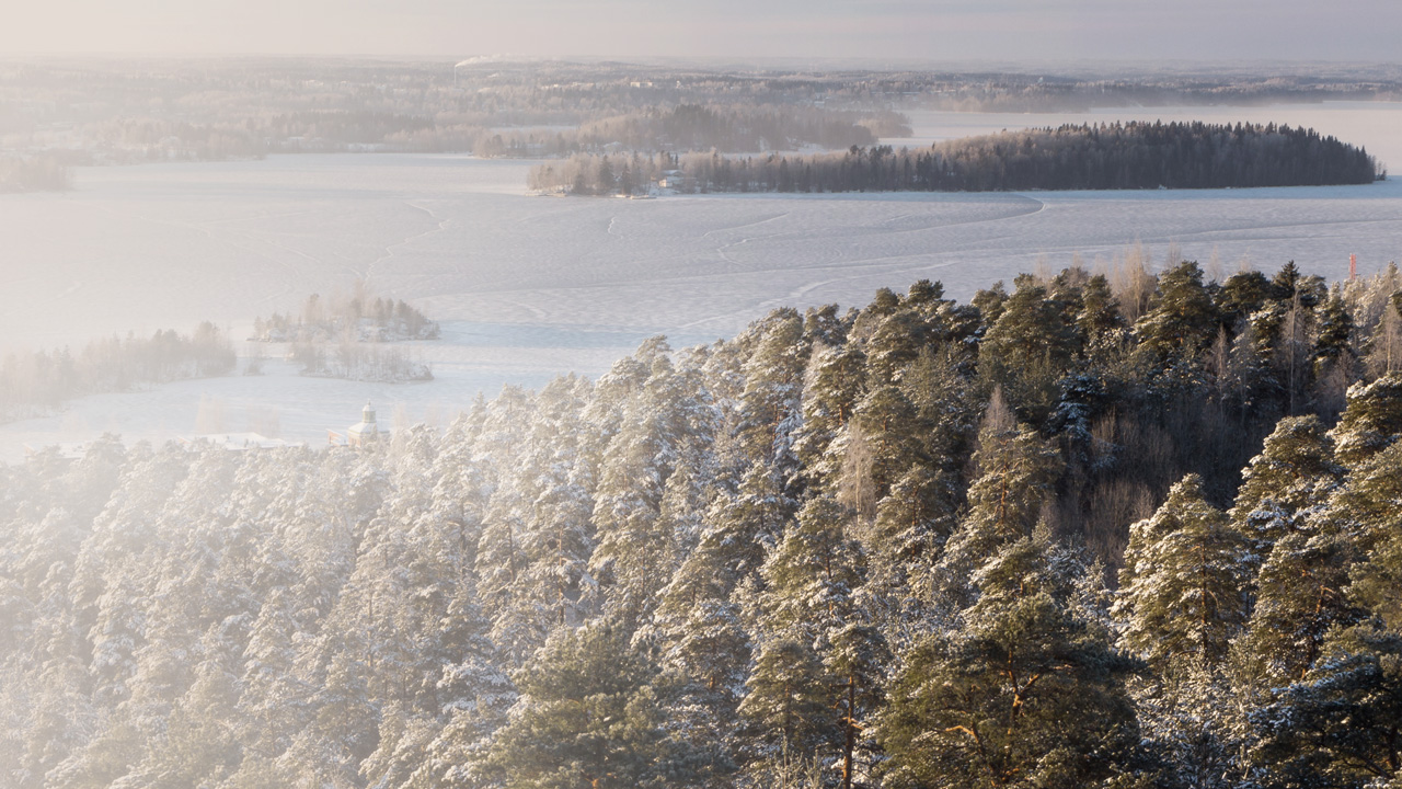 Winter with snow on a lake and the forest