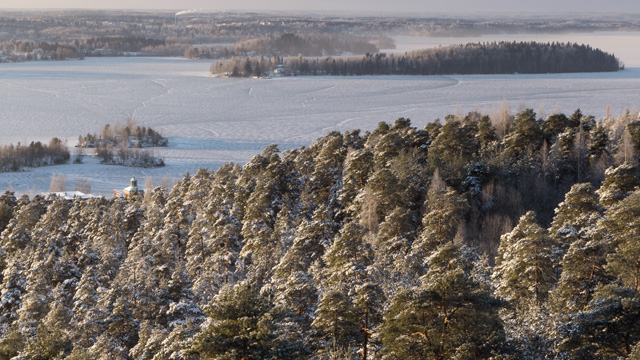 Winter with snow on lake and forest - smaill