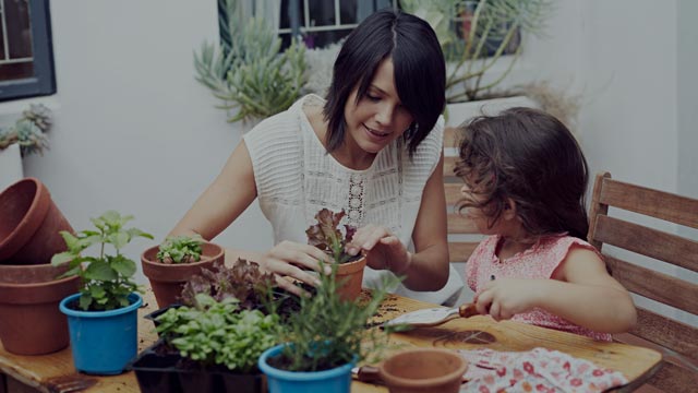 Mor og datter planter blomster