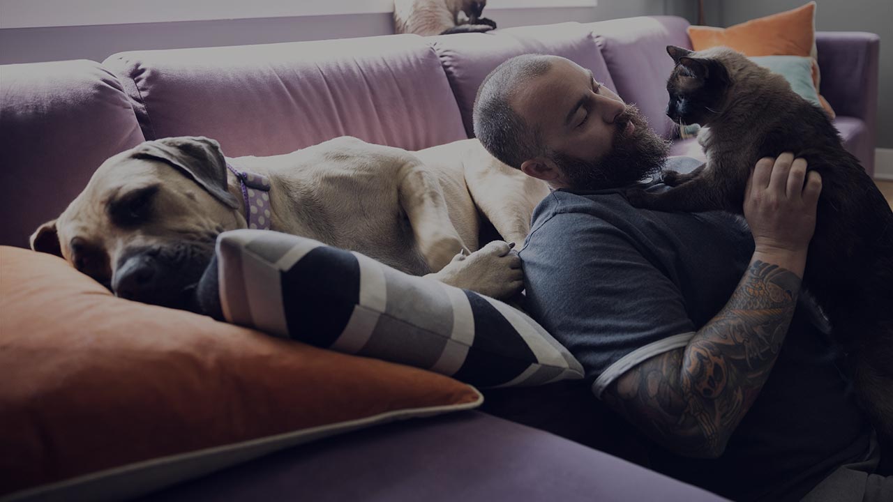 Mann i stue med hund og katt