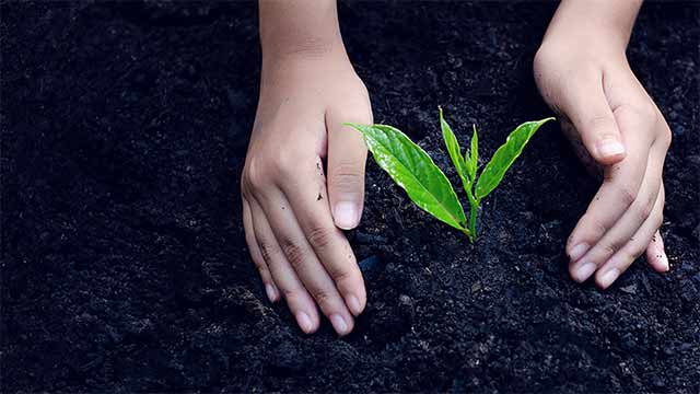 Hands planting seeds small