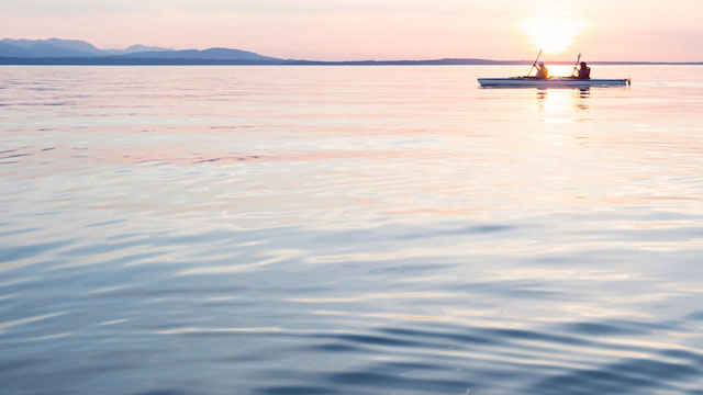 Kvinner som padler i kajakk i solnedgang