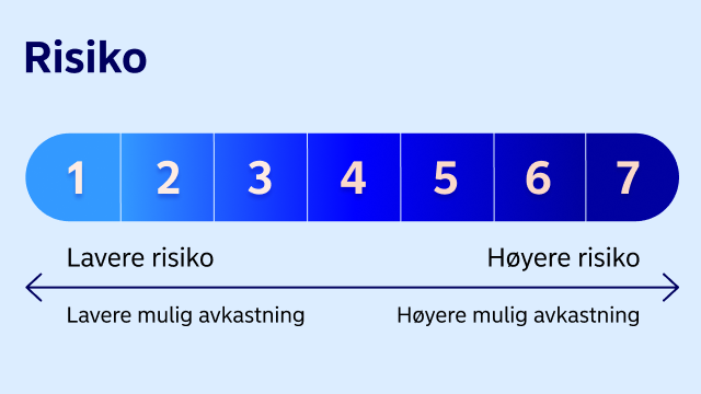 Risikoskala