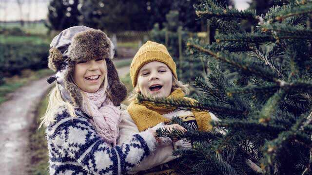 Children buying christmas tree